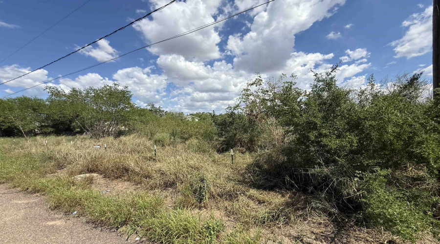 5120 Laredo Ln, Zapata, Texas 78076, ,Land,For Sale,5120 Laredo Ln,20261344