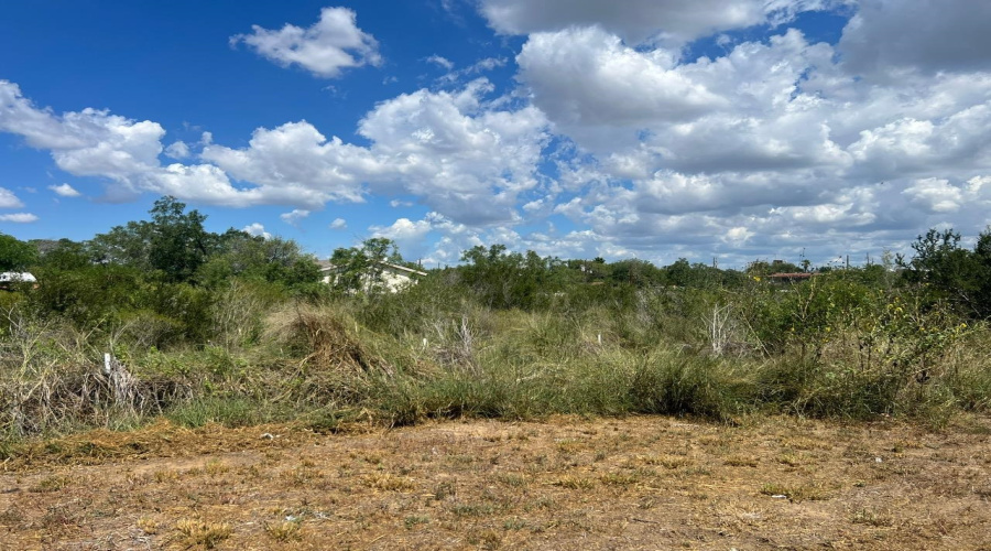 5120 Laredo Ln, Zapata, Texas 78076, ,Land,For Sale,5120 Laredo Ln,20261344