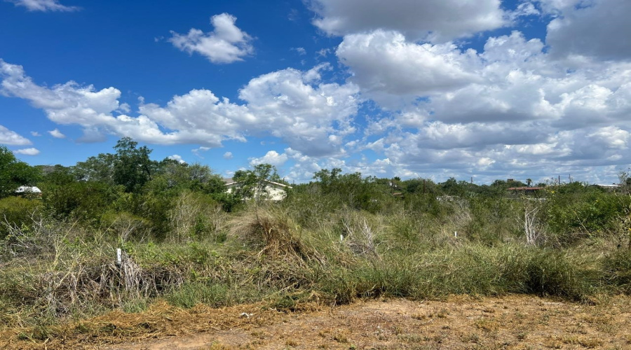 5120 Laredo Ln, Zapata, Texas 78076, ,Land,For Sale,5120 Laredo Ln,20261344