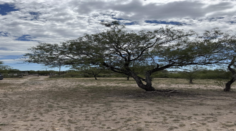 311 Los Arcos Rd., Laredo, Texas 78043, ,Land,For Sale,311 Los Arcos Rd.,20261350