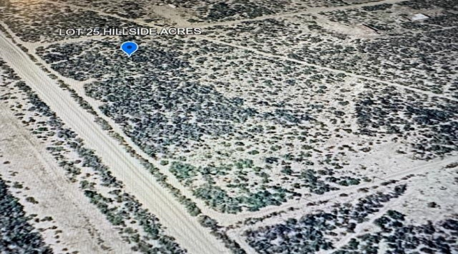 LOT 25 Las Pilas Rd., LAREDO, Texas 78043, ,Land,For Sale,LOT 25 Las Pilas Rd.,20261368