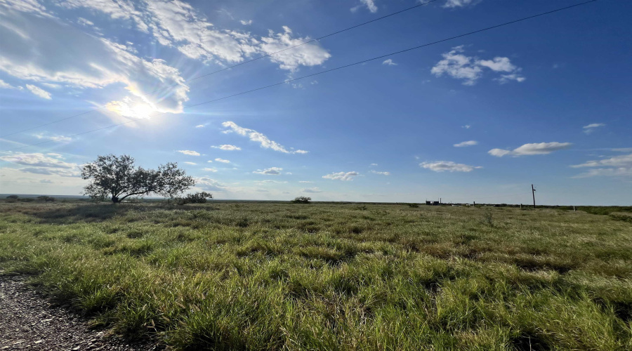 3037 N US Highway 83, Zapata, Texas 78076, ,Land,For Sale,3037 N US Highway 83,20254234