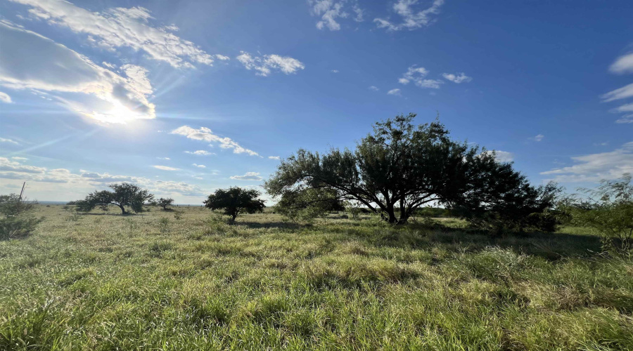 3037 N US Highway 83, Zapata, Texas 78076, ,Land,For Sale,3037 N US Highway 83,20254234