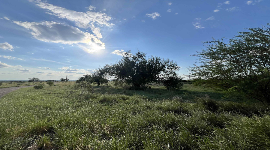 3037 N US Highway 83, Zapata, Texas 78076, ,Land,For Sale,3037 N US Highway 83,20254234