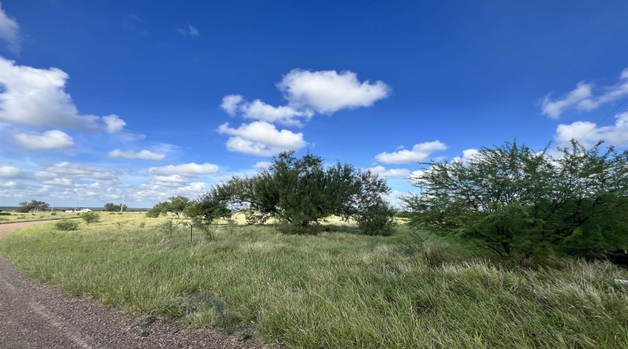 3037 N US Highway 83, Zapata, Texas 78076, ,Land,For Sale,3037 N US Highway 83,20254234