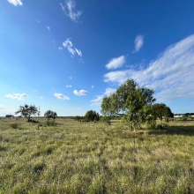 3037 N US Highway 83, Zapata, Texas 78076, ,Land,For Sale,3037 N US Highway 83,20254234