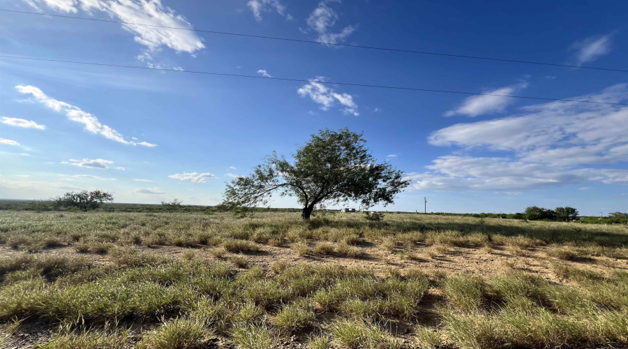 3037 N US Highway 83, Zapata, Texas 78076, ,Land,For Sale,3037 N US Highway 83,20254234