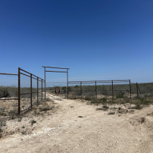 TR 16 Tx State Hwy 339, Freer, Texas 00000-0000, ,Land,For Sale,TR 16 Tx State Hwy 339,20261393