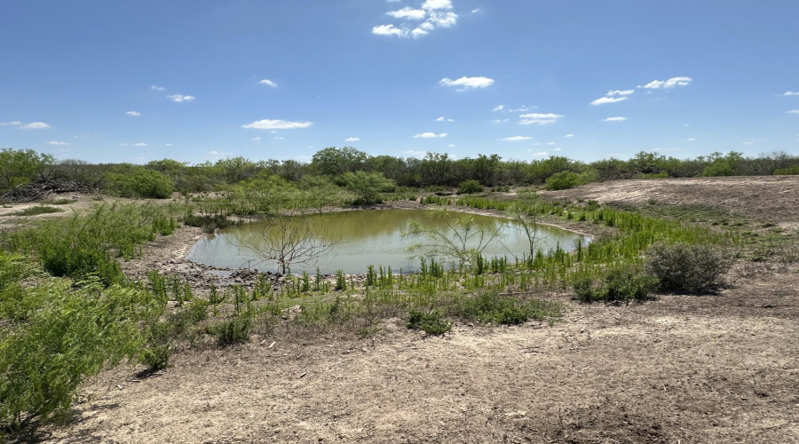 TR 16 Tx State Hwy 339, Freer, Texas 00000-0000, ,Land,For Sale,TR 16 Tx State Hwy 339,20261393