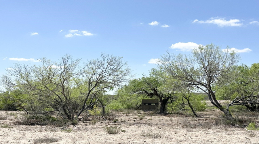 TR 16 Tx State Hwy 339, Freer, Texas 00000-0000, ,Land,For Sale,TR 16 Tx State Hwy 339,20261393