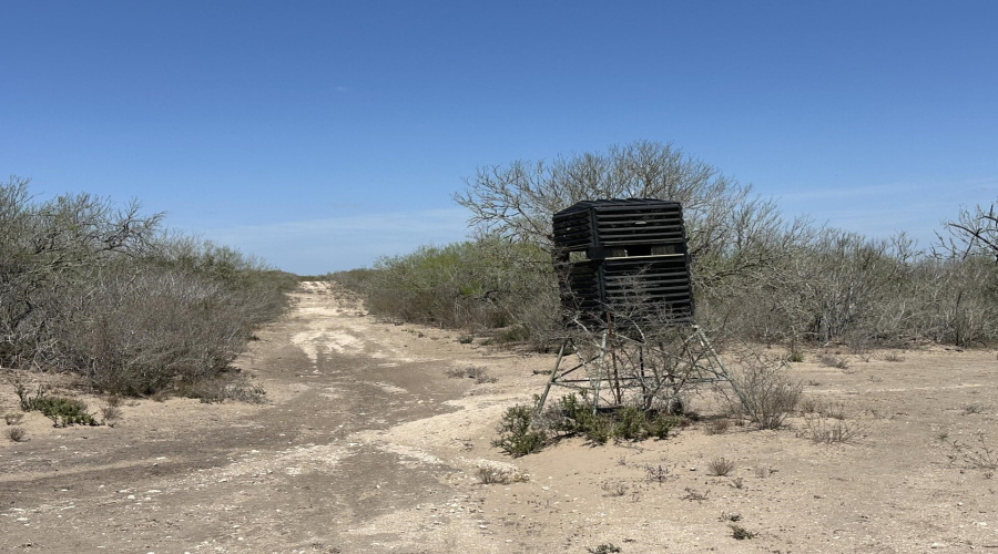 TR 16 Tx State Hwy 339, Freer, Texas 00000-0000, ,Land,For Sale,TR 16 Tx State Hwy 339,20261393