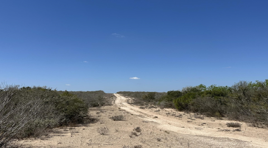 TR 16 Tx State Hwy 339, Freer, Texas 00000-0000, ,Land,For Sale,TR 16 Tx State Hwy 339,20261393