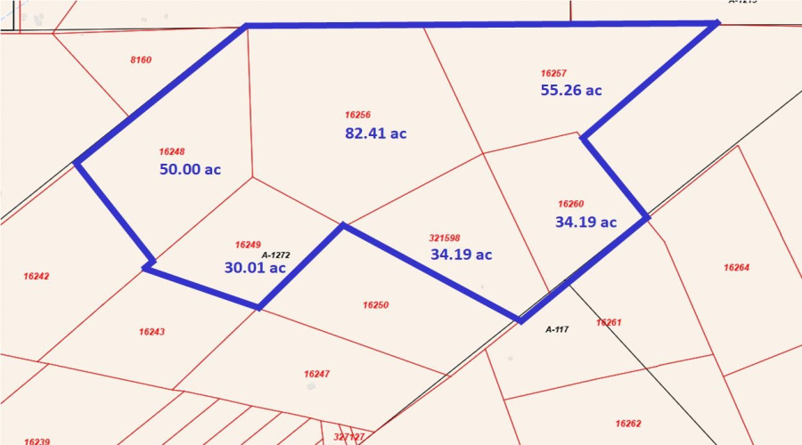 TR 16 Tx State Hwy 339, Freer, Texas 00000-0000, ,Land,For Sale,TR 16 Tx State Hwy 339,20261393
