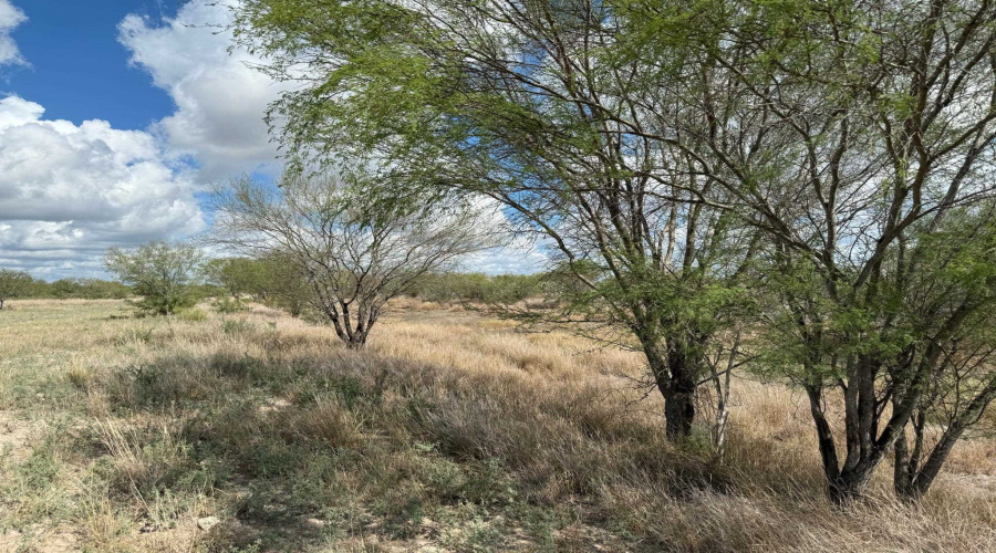 440 Norte Rd., laredo, Texas 78044, ,Land,For Sale,440 Norte Rd.,20261423