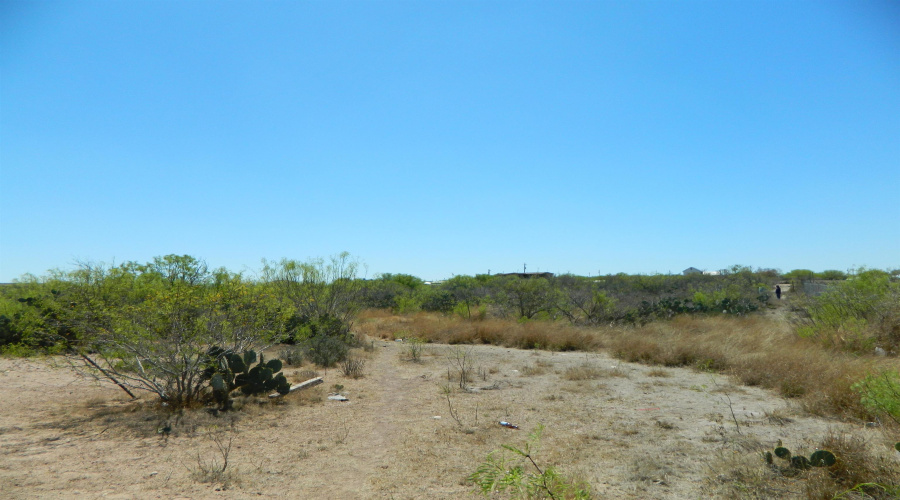 Lot 100 Ranchitos Los Fresnos, Laredo, Texas 78043, ,Land,For Sale,Lot 100 Ranchitos Los Fresnos,20261442