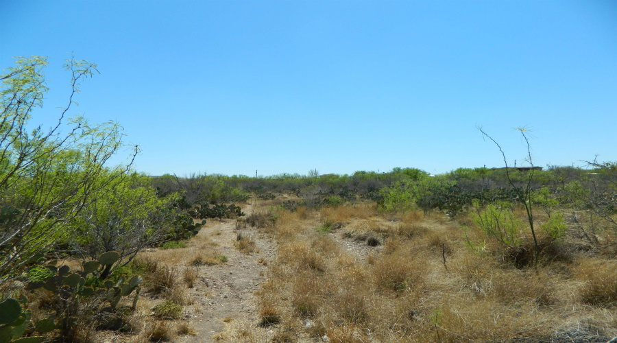 Lot 100 Ranchitos Los Fresnos, Laredo, Texas 78043, ,Land,For Sale,Lot 100 Ranchitos Los Fresnos,20261442