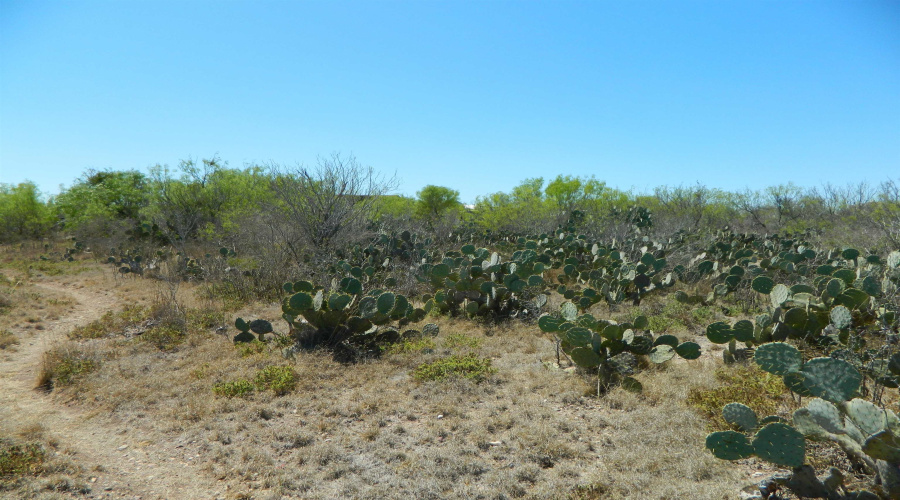 Lot 100 Ranchitos Los Fresnos, Laredo, Texas 78043, ,Land,For Sale,Lot 100 Ranchitos Los Fresnos,20261442