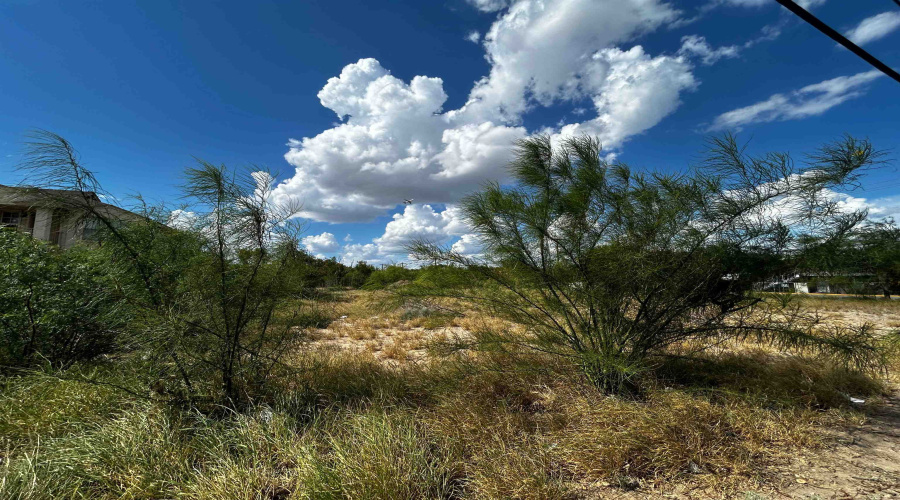 Canada & O'Kane, Laredo, Texas 78043, ,Land,For Sale,Canada & O'Kane,20252835