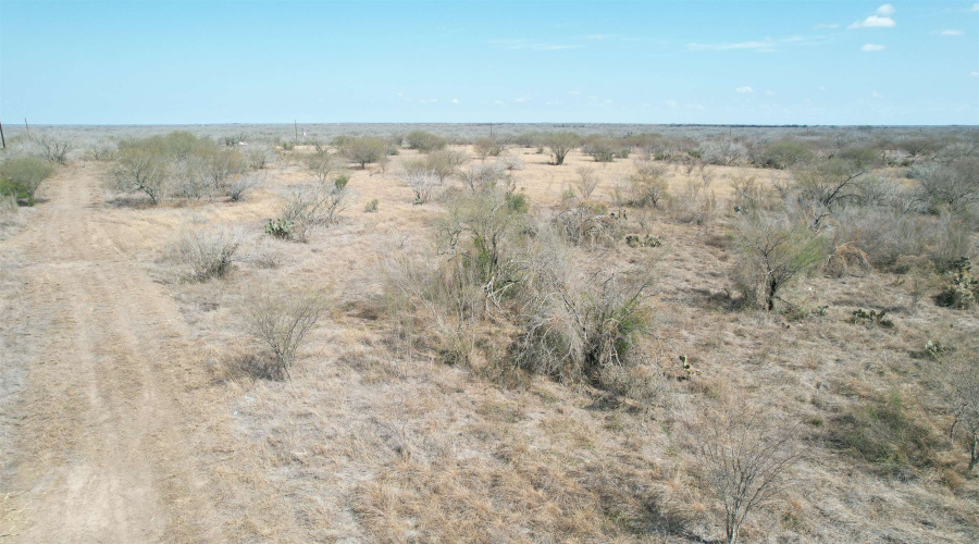 CR 119, Alice, Texas 78332, ,Land,For Sale,CR 119,20261478