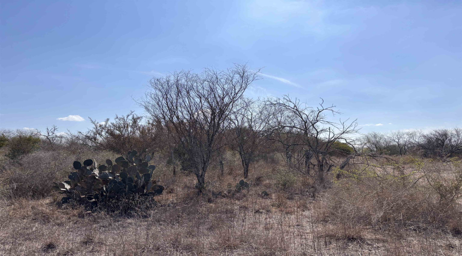 CR 119, Alice, Texas 78332, ,Land,For Sale,CR 119,20261478