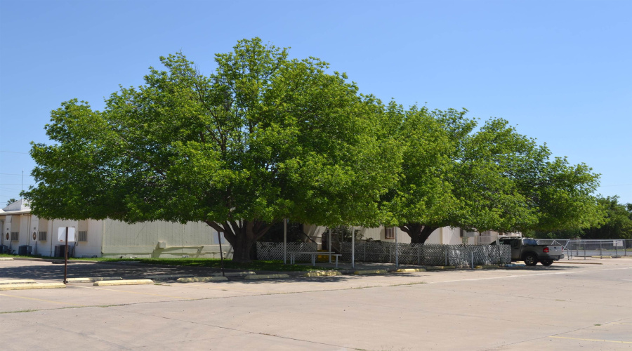 200 W Lyon St, Laredo, Texas 78041, 1 Room Rooms,4 BathroomsBathrooms,Commercial retail/office,For Sale,200 W Lyon St,20261480
