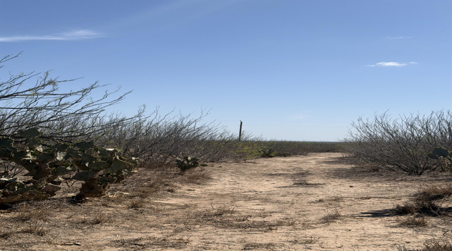 000 Ranch Rd, Laredo, Texas 78040, ,Land,For Sale,000 Ranch Rd,20261483