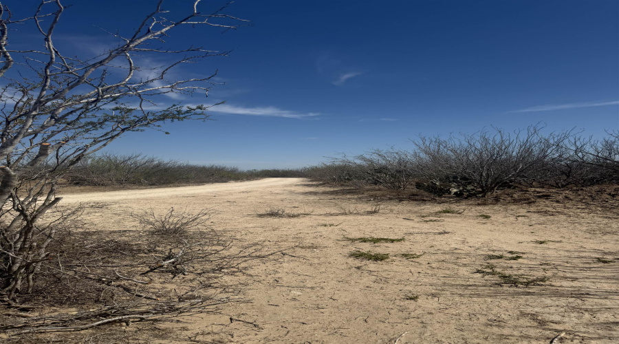 000 Ranch Rd, Laredo, Texas 78040, ,Land,For Sale,000 Ranch Rd,20261483
