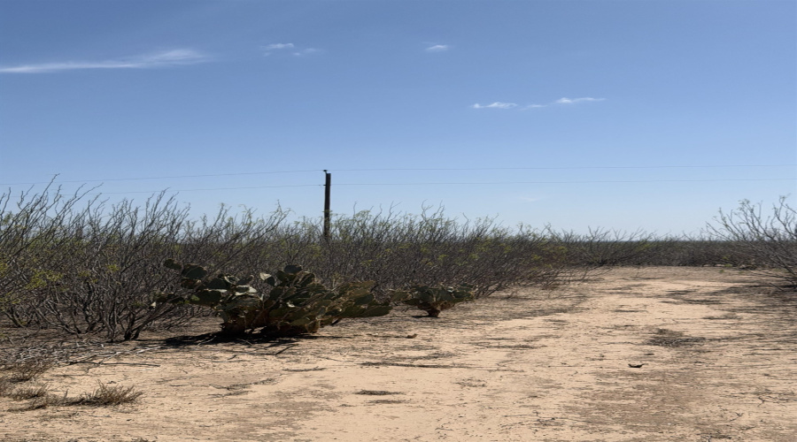 000 Ranch Rd, Laredo, Texas 78040, ,Land,For Sale,000 Ranch Rd,20261483