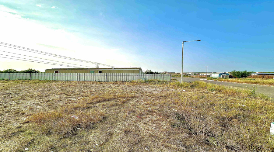 608 Palo De Rosa Loop, Laredo, Texas 78043, ,Land,For Sale,608 Palo De Rosa Loop,20261493