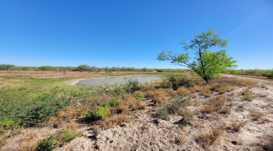 385 Ranch Road 7074C, Laredo, Texas 78043, ,Land,For Sale,385 Ranch Road 7074C,20261494