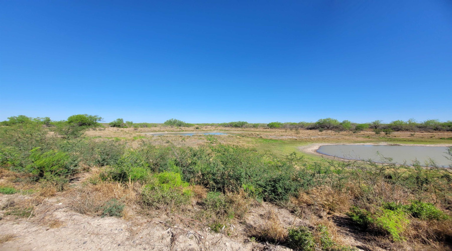 385 Ranch Road 7074C, Laredo, Texas 78043, ,Land,For Sale,385 Ranch Road 7074C,20261494