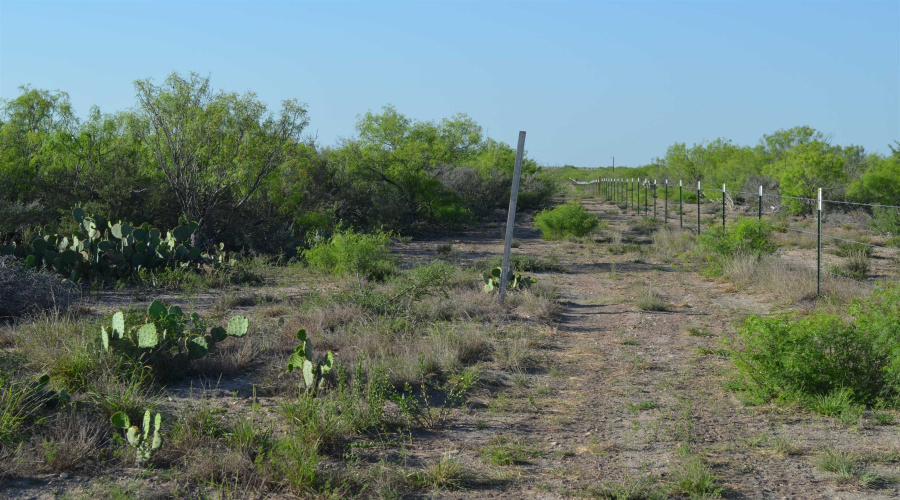 000 Sal si Puedes, Laredo, Texas 78044, ,Land,For Sale,000 Sal si Puedes,20254559