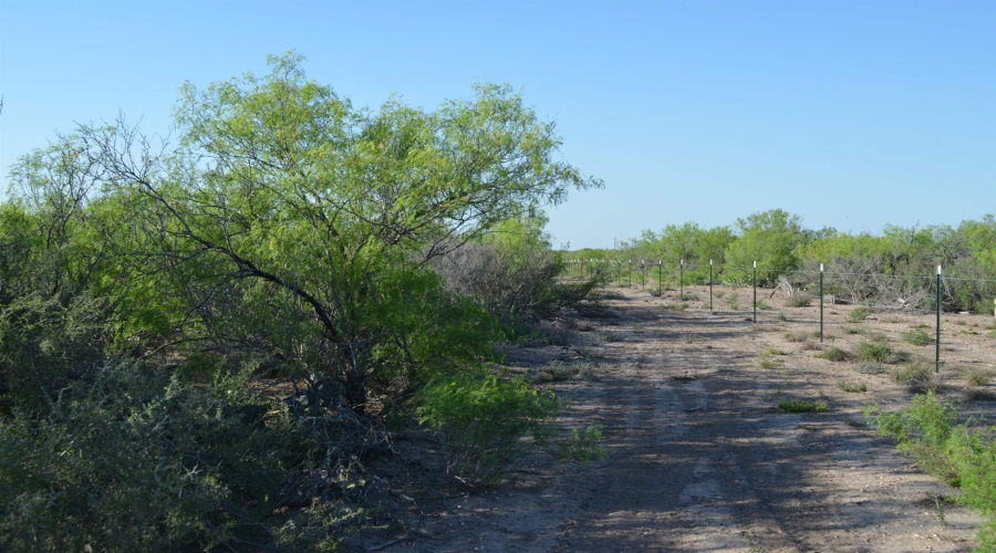 000 Sal si Puedes, Laredo, Texas 78044, ,Land,For Sale,000 Sal si Puedes,20254559