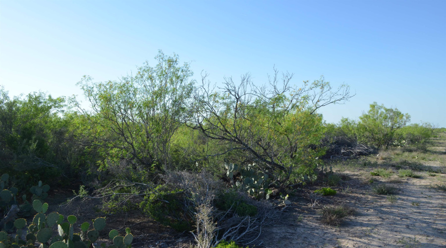 000 Sal si Puedes, Laredo, Texas 78044, ,Land,For Sale,000 Sal si Puedes,20254559