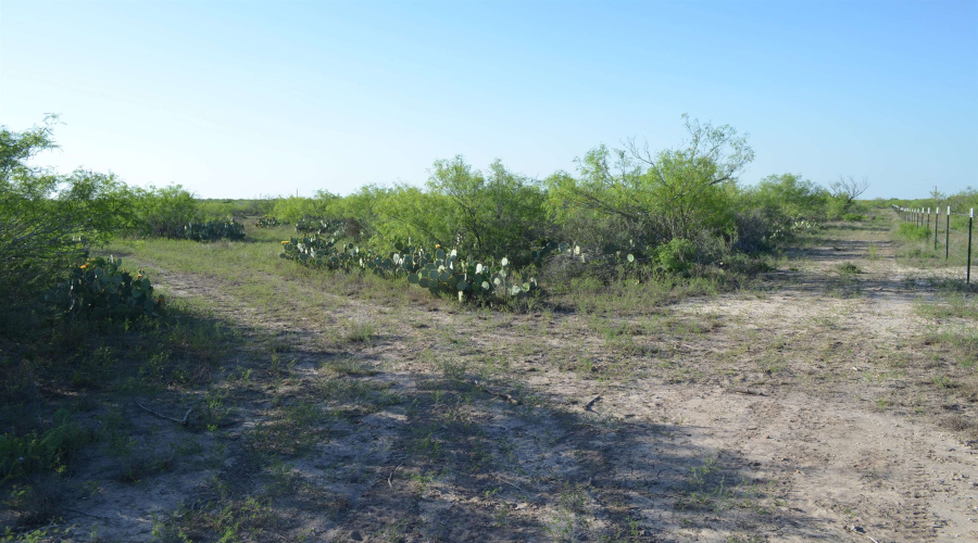 000 Sal si Puedes, Laredo, Texas 78044, ,Land,For Sale,000 Sal si Puedes,20254559