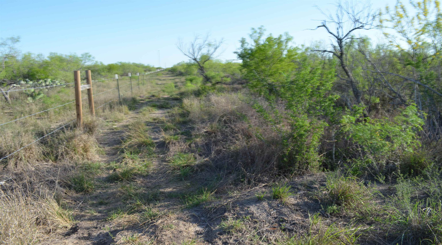 000 Sal si Puedes, Laredo, Texas 78044, ,Land,For Sale,000 Sal si Puedes,20254559