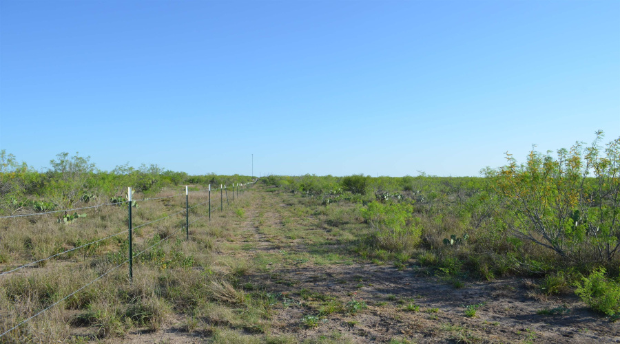000 Sal si Puedes, Laredo, Texas 78044, ,Land,For Sale,000 Sal si Puedes,20254559