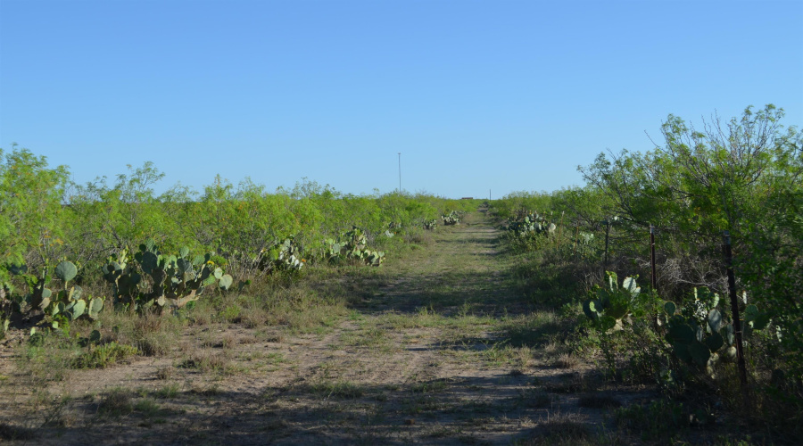000 Sal si Puedes, Laredo, Texas 78044, ,Land,For Sale,000 Sal si Puedes,20254559