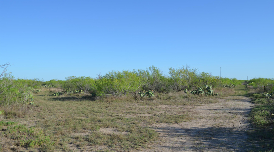 000 Sal si Puedes, Laredo, Texas 78044, ,Land,For Sale,000 Sal si Puedes,20254559
