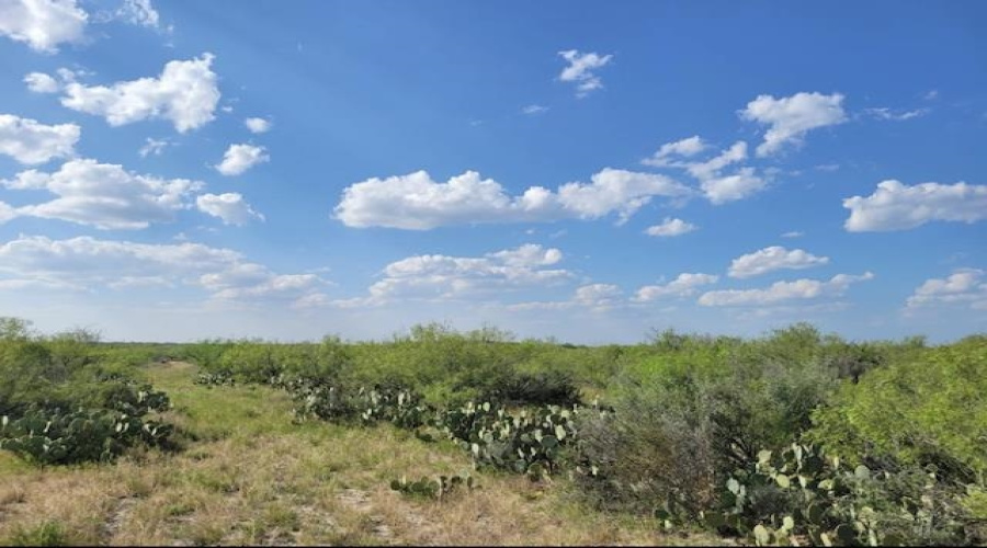 000 Sal si Puedes, Laredo, Texas 78044, ,Land,For Sale,000 Sal si Puedes,20254559