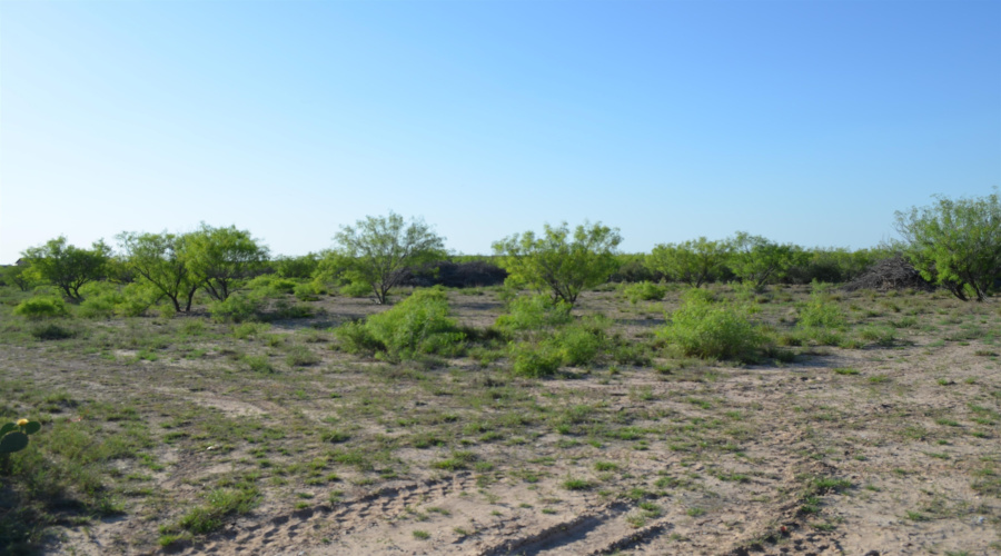 000 Sal si Puedes, Laredo, Texas 78044, ,Land,For Sale,000 Sal si Puedes,20254559