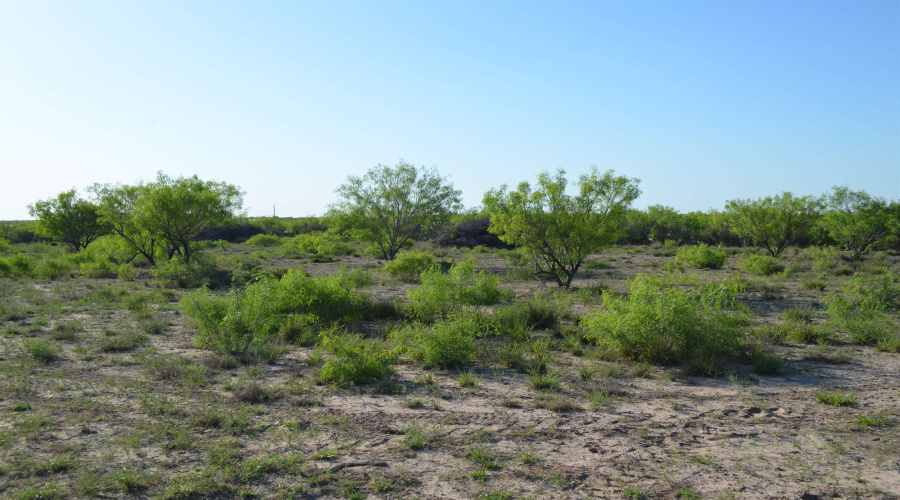 000 Sal si Puedes, Laredo, Texas 78044, ,Land,For Sale,000 Sal si Puedes,20254559