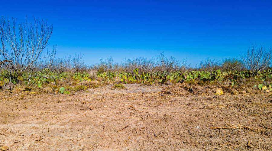 Parcel 2 ABST 209 J V Borrego, Zapata, Texas 00000, ,Land,For Sale,Parcel 2 ABST 209 J V Borrego,20261540