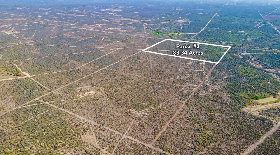 Parcel 2 ABST 209 J V Borrego, Zapata, Texas 00000, ,Land,For Sale,Parcel 2 ABST 209 J V Borrego,20261540