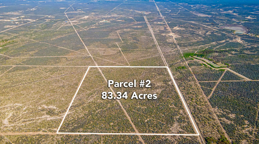 Parcel 2 ABST 209 J V Borrego, Zapata, Texas 00000, ,Land,For Sale,Parcel 2 ABST 209 J V Borrego,20261540