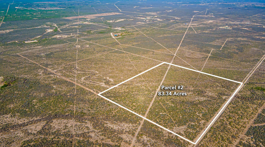 Parcel 2 ABST 209 J V Borrego, Zapata, Texas 00000, ,Land,For Sale,Parcel 2 ABST 209 J V Borrego,20261540