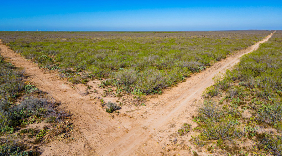 Parcel 3 ABST 209 J V Borrego, Zapata, Texas 00000, ,Land,For Sale,Parcel 3 ABST 209 J V Borrego,20261541