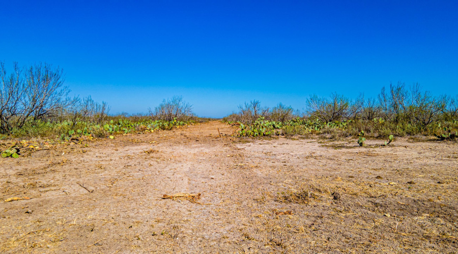 Parcel 3 ABST 209 J V Borrego, Zapata, Texas 00000, ,Land,For Sale,Parcel 3 ABST 209 J V Borrego,20261541