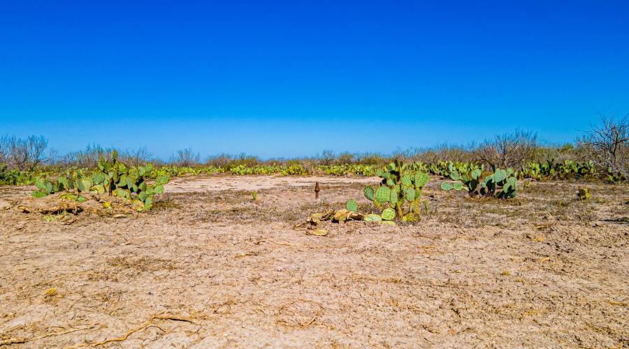 Parcel 3 ABST 209 J V Borrego, Zapata, Texas 00000, ,Land,For Sale,Parcel 3 ABST 209 J V Borrego,20261541