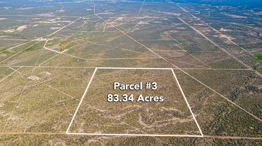 Parcel 3 ABST 209 J V Borrego, Zapata, Texas 00000, ,Land,For Sale,Parcel 3 ABST 209 J V Borrego,20261541